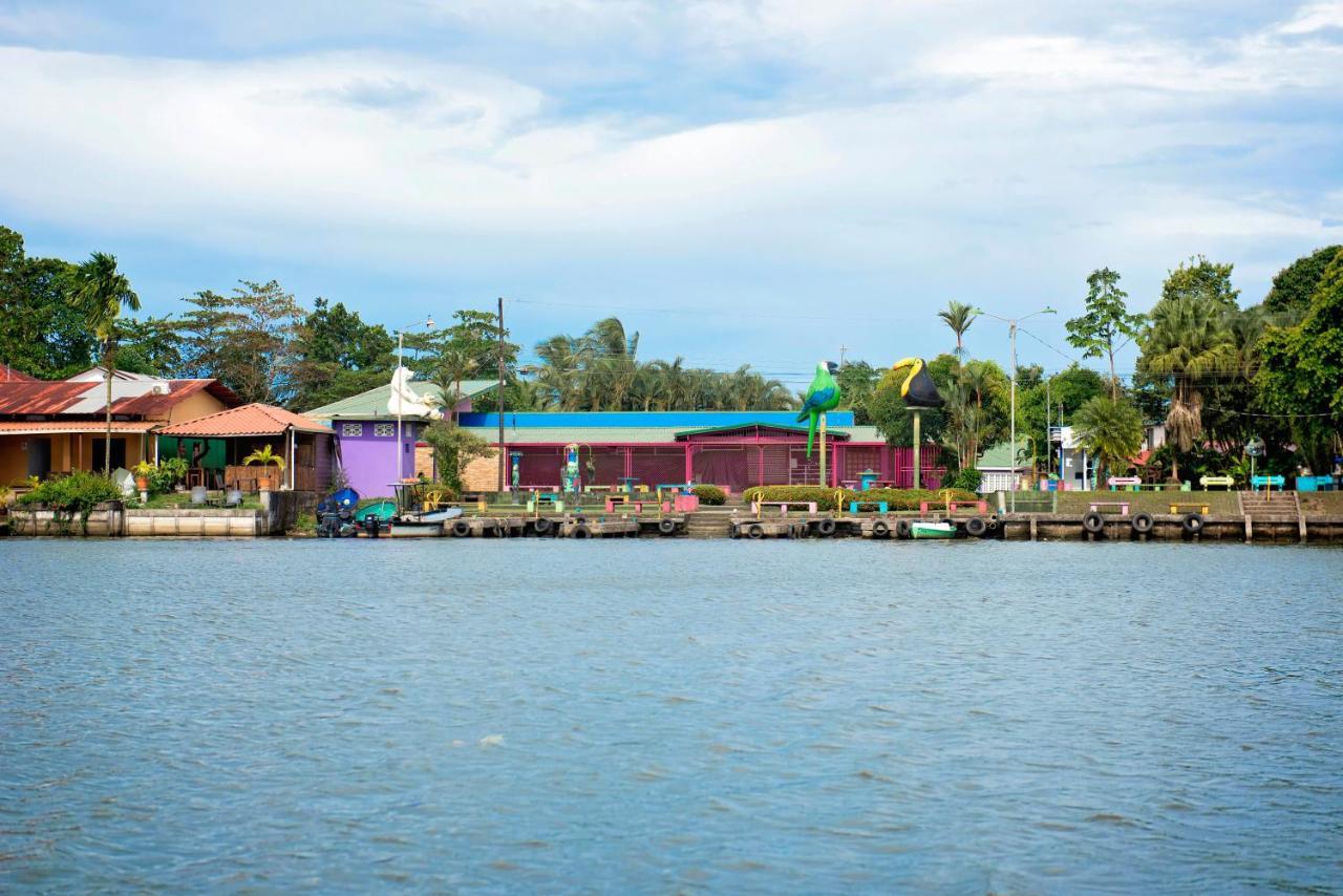 Apartmán The Corner House Tortuguero Exteriér fotografie