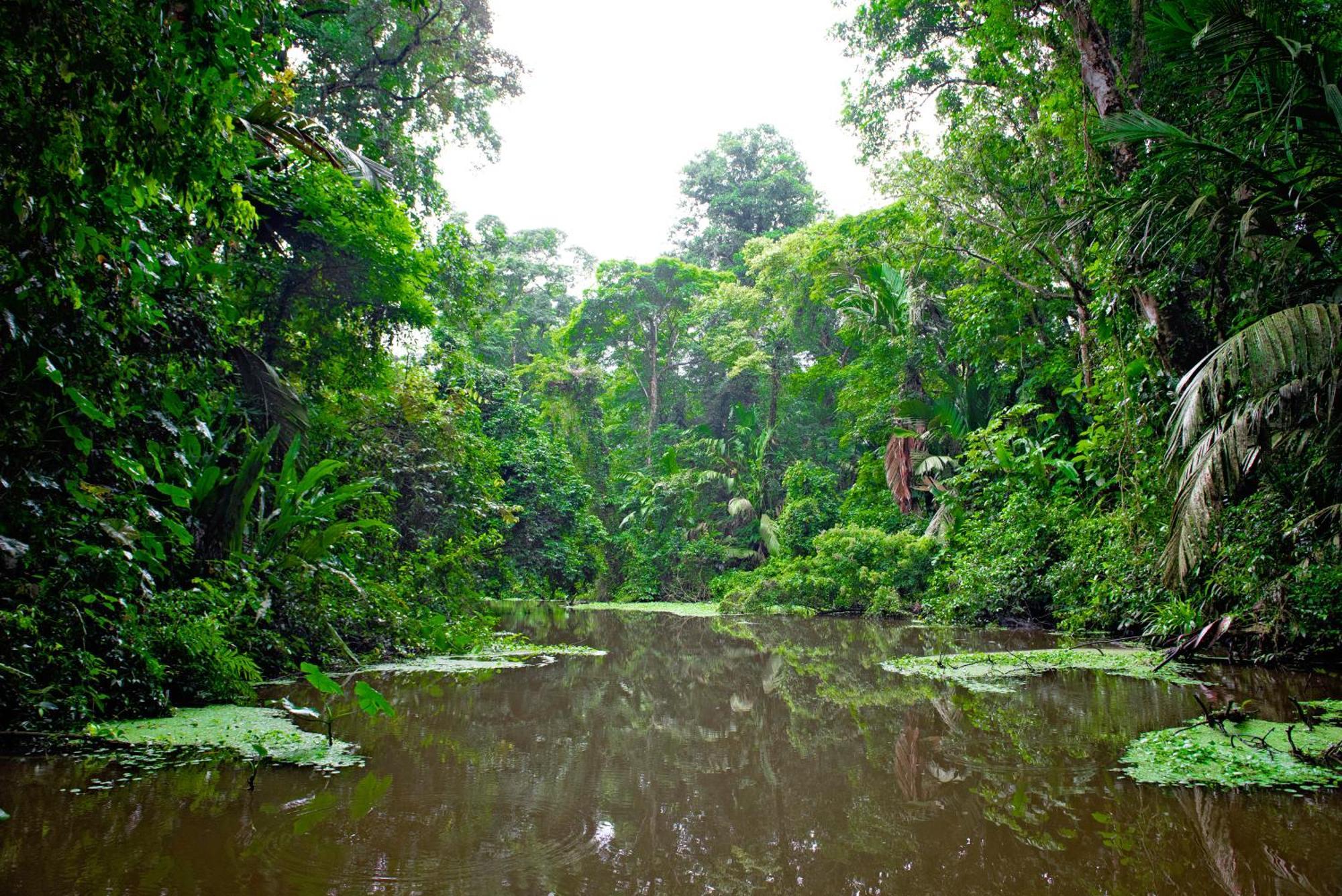 Apartmán The Corner House Tortuguero Exteriér fotografie